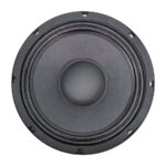 PTY-L10750YK PARLANTE 10" (DIAM. DE BOBINA 3") FERRITA 8 OHM 600W «POTTENZA»